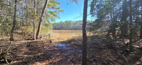 Land in Quiet Community