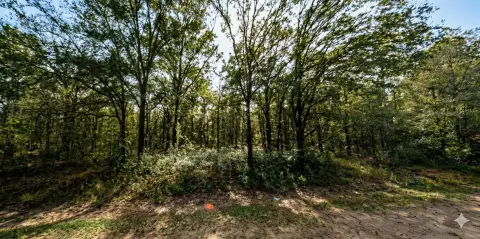 Vacant Lot in Flagler Estates