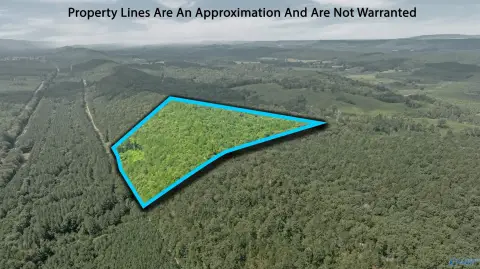 Wooded Land in Valley Head