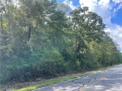 Surveyed Commercial Land