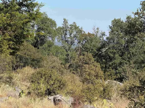 Horseshoe Bay Homesite For Sale