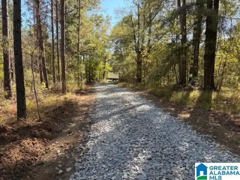 Investment-Grade Timberland Hunting Property