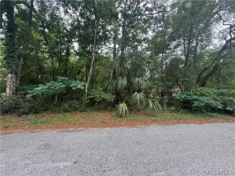 Inverness, FL Land Parcel