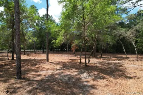 Dunnellon Land with Paved Road