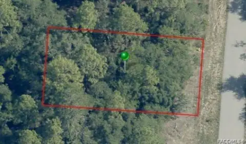 Dunnellon Vacant Lot Opportunity