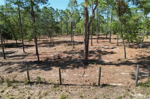 Cleared Land in Dunnellon, FL