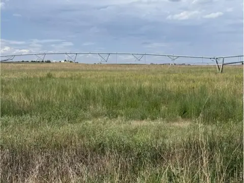Irrigated Farm With Center Pivot