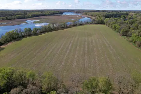 40 Acres Vacant Land Hanover