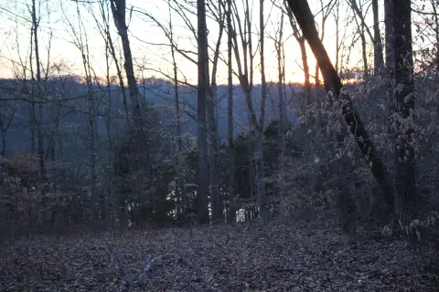 Lake View Residential Lot