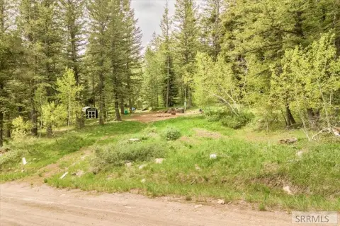 Forested Retreat in Lava Ranch