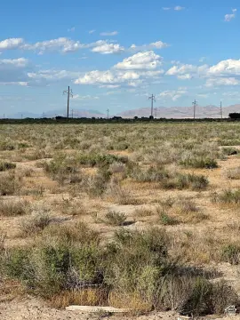 Agricultural Land with Road Frontage