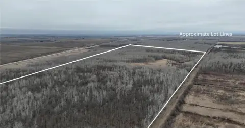 Wooded Land in Red Lake County