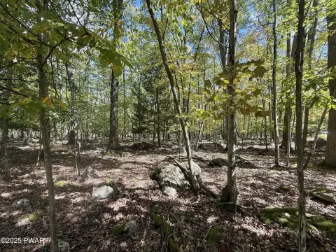 Tafton Land with Septic Permit