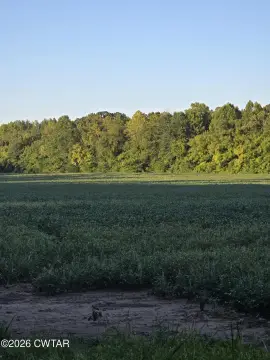 Farmland with Road Frontage
