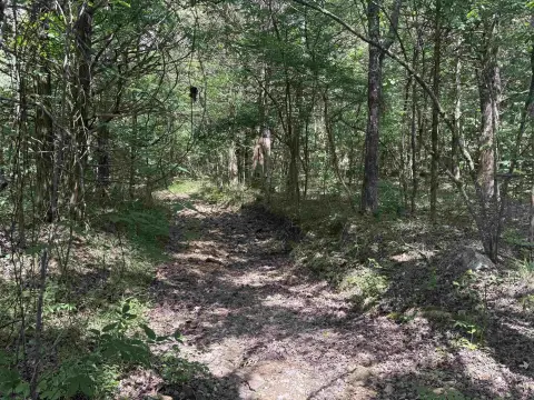 Arkansas Land with Wooded Acreage