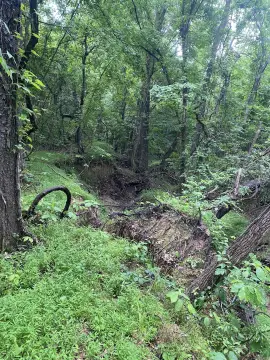 Wooded Land in Jonesboro, AR