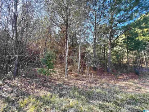 Residential Lot in Pleasant Grove