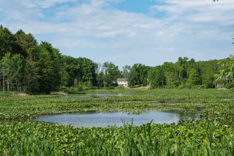 Waterfront Land in Richland, MI