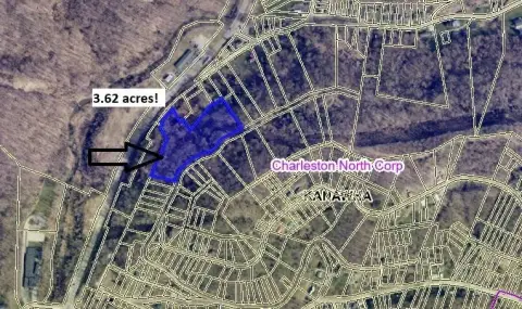 Wooded Vacant Land Parcel