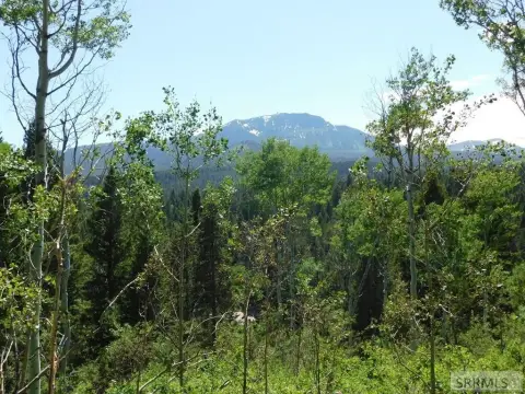 Island Park Land with Views