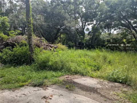 Ocala Park Estates Wooded Lot