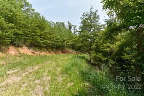 Residential Land in Marshall, NC