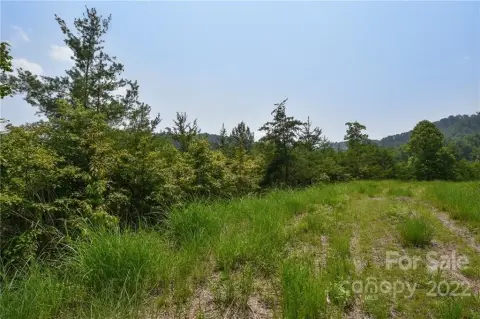 Residential Land in Marshall, NC