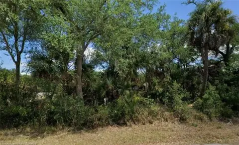 Spacious Lot in Port Charlotte