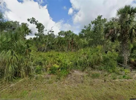 Spacious Corner Lot in Florida