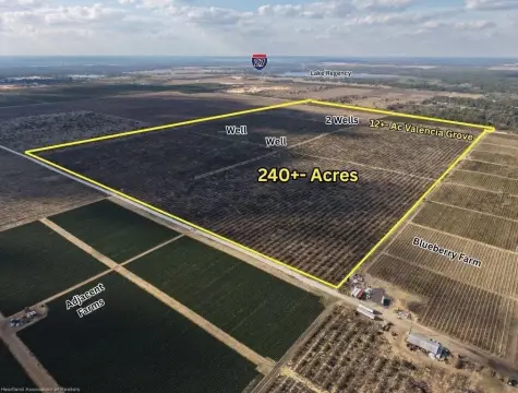 Citrus Farm Land with Automated Wells