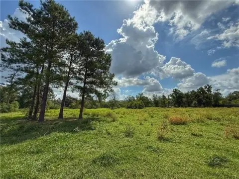Cleared Land with Stocked Pond