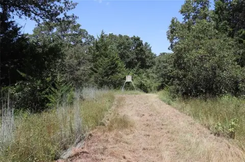 36 Acres Perfect Homesite