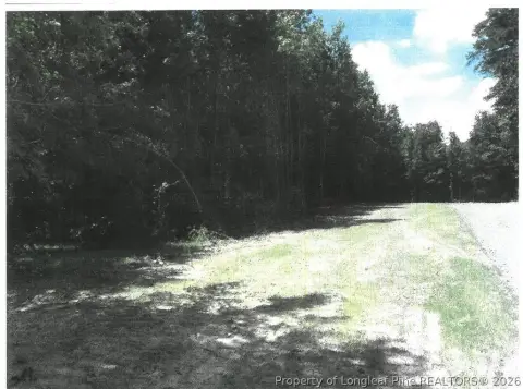 Sanford Wooded Land Near Park