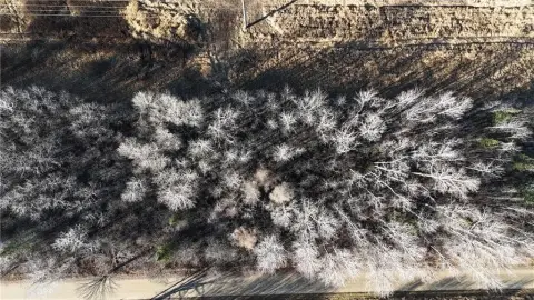 Residential Lot in Deer River