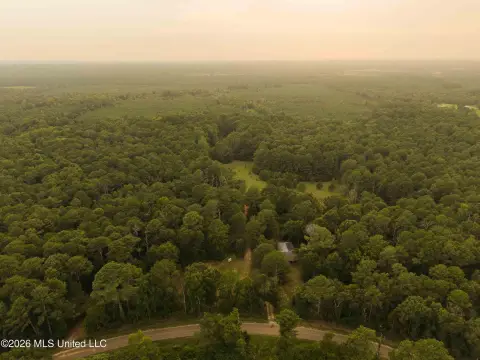 Recreational Timber Hunting Tract