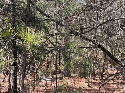 Residential Lot in Savannah Lakes