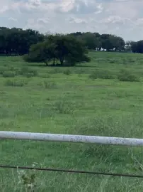 Covington, TX Unimproved Land