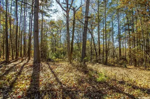 46 Acres of Land, Alexander