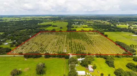 Producing Citrus Farm