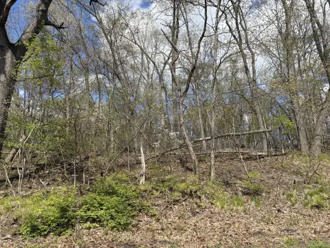 Wooded Land Parcel in Cassopolis