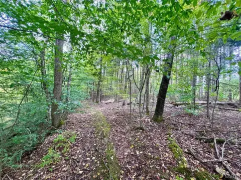 Recreational Land with Stream