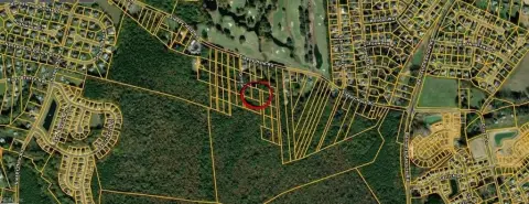 Suffolk, VA Wooded Land