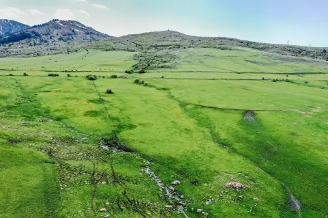 Working Ranch with Irrigation