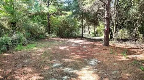 Wooded Rural Land