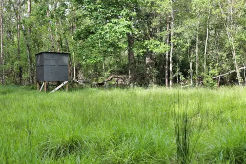 Tickfaw Vacant Land Investment Opportunity