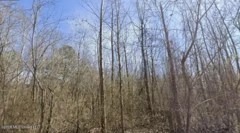 Wooded Hunting and Recreation Land