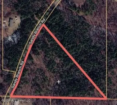 Country Acreage on Sandy Branch Road