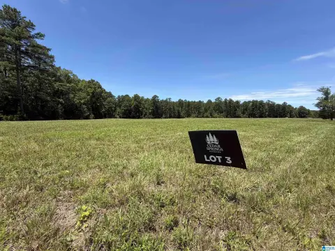 Acreage Building Tract in Cedar Springs