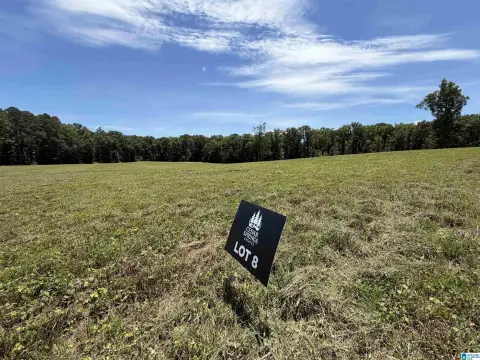 Acreage Home Site in Cedar Springs