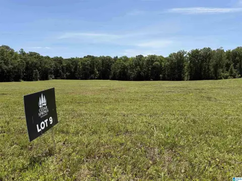 Acreage Home Lot Tract
